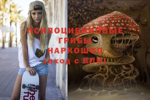 таблы Алзамай