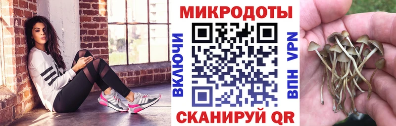 Псилоцибиновые грибы Magic Shrooms  Амурск 