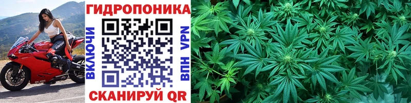 Каннабис White Widow  купить наркотики цена  Амурск 